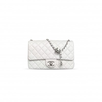 CHANEL CLASSIC FLAP WALLET ON CHAIN WOC AS5756 (23.5*14.5*7cm)